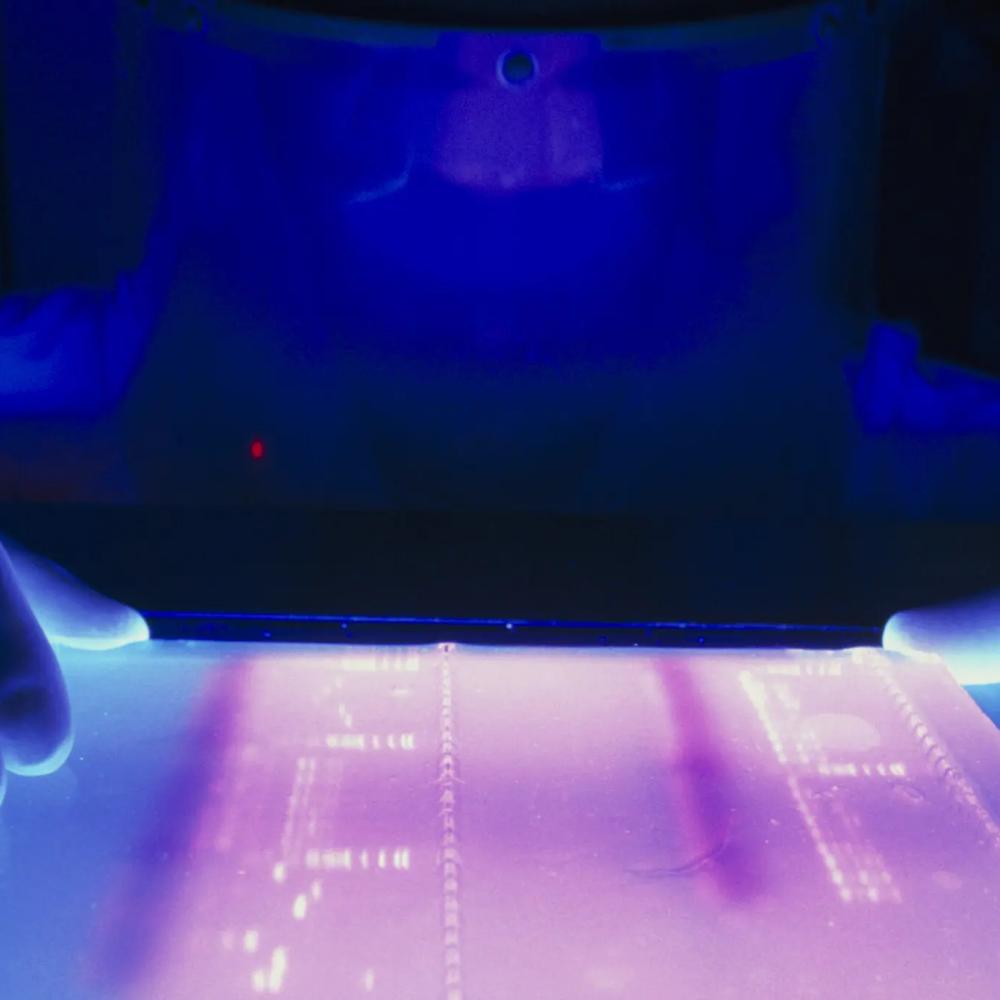 Researchers Are Using A.I. to Decode the Human Genome