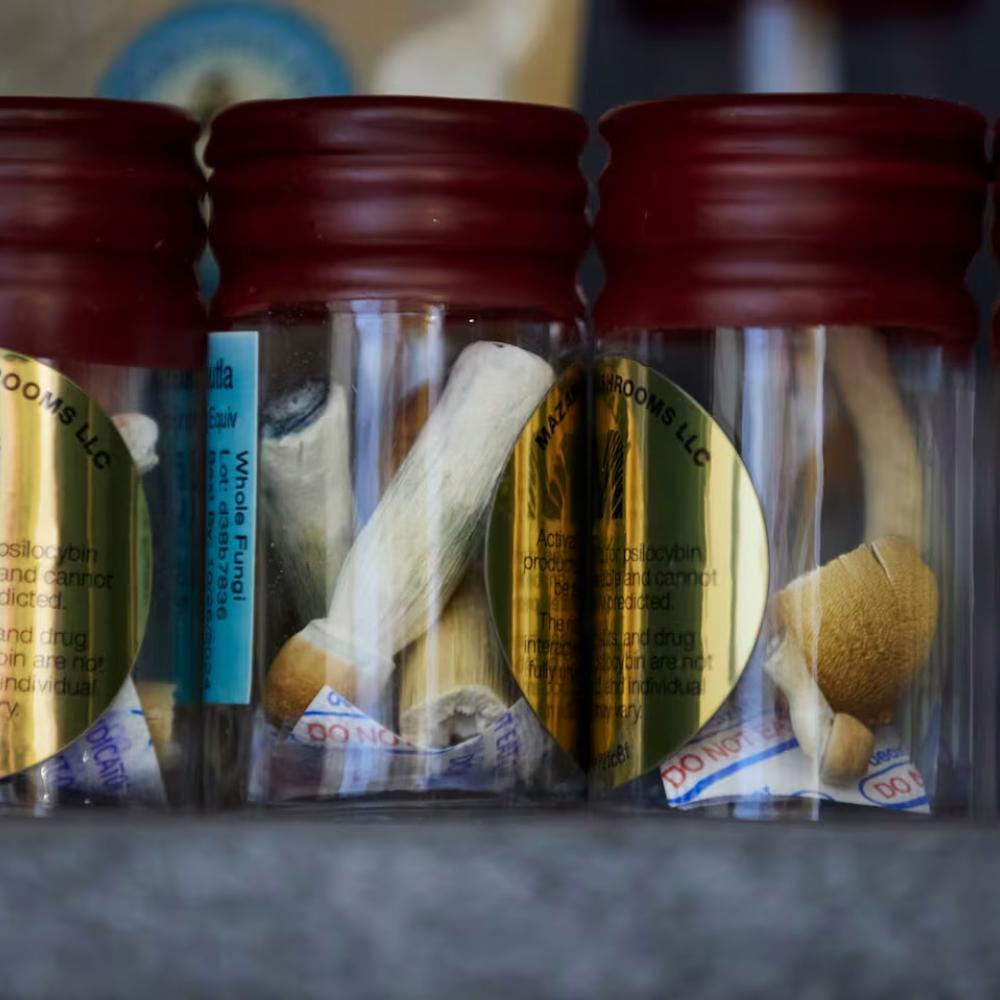 Woman with late-stage Alzheimer’s showed ‘functional improvements’ after taking psilocybin dosage, study finds