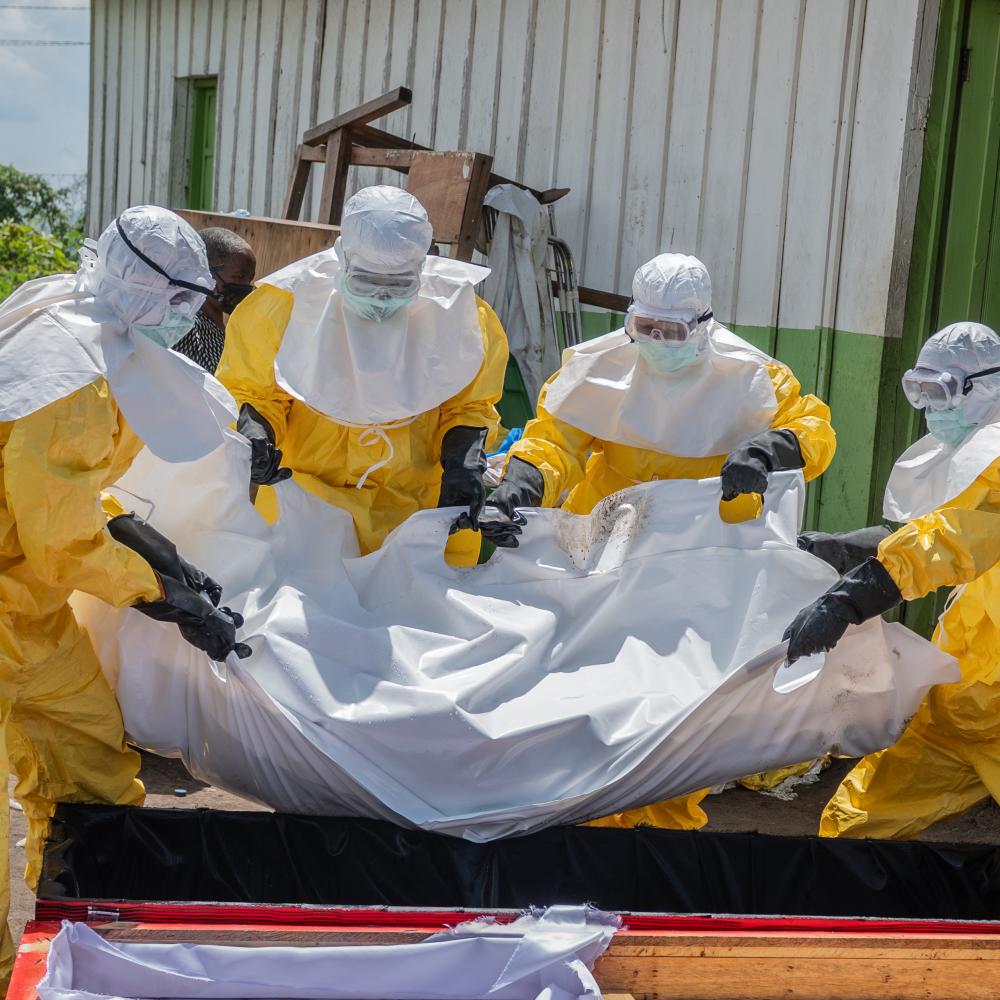 Not if, but when: What could cause the next global pandemic?