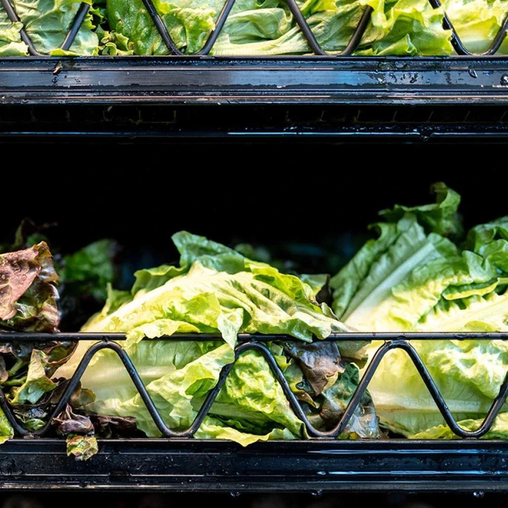 'Watery diarrhea' cases surge in Quebec, as Michigan identifies lettuce as possible source of outbreak