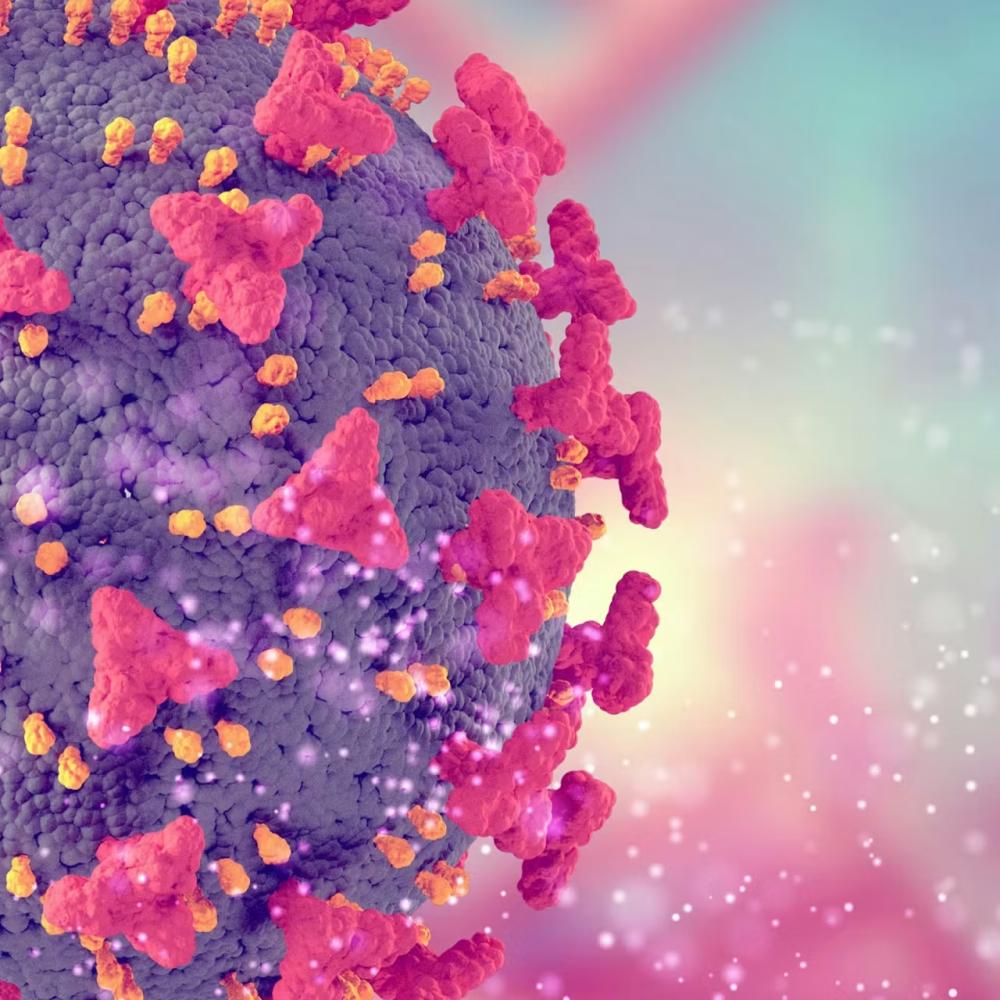 How we are engineering bacteria to eat cancer