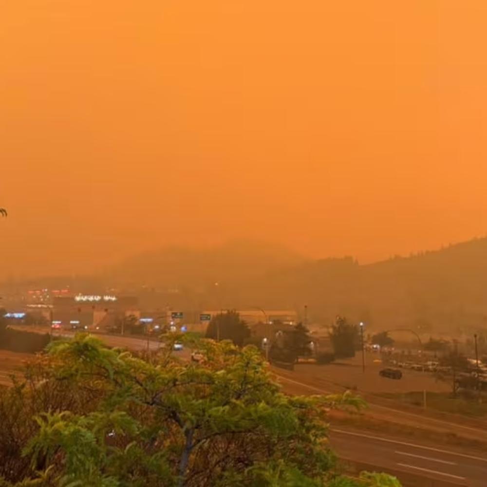 Migraine-related hospital visits spike during periods of wildfire smoke, Canadian study finds
