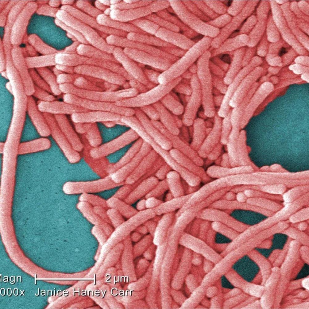 TTC cooling tower source of legionnaires’ disease outbreak in Toronto: public health