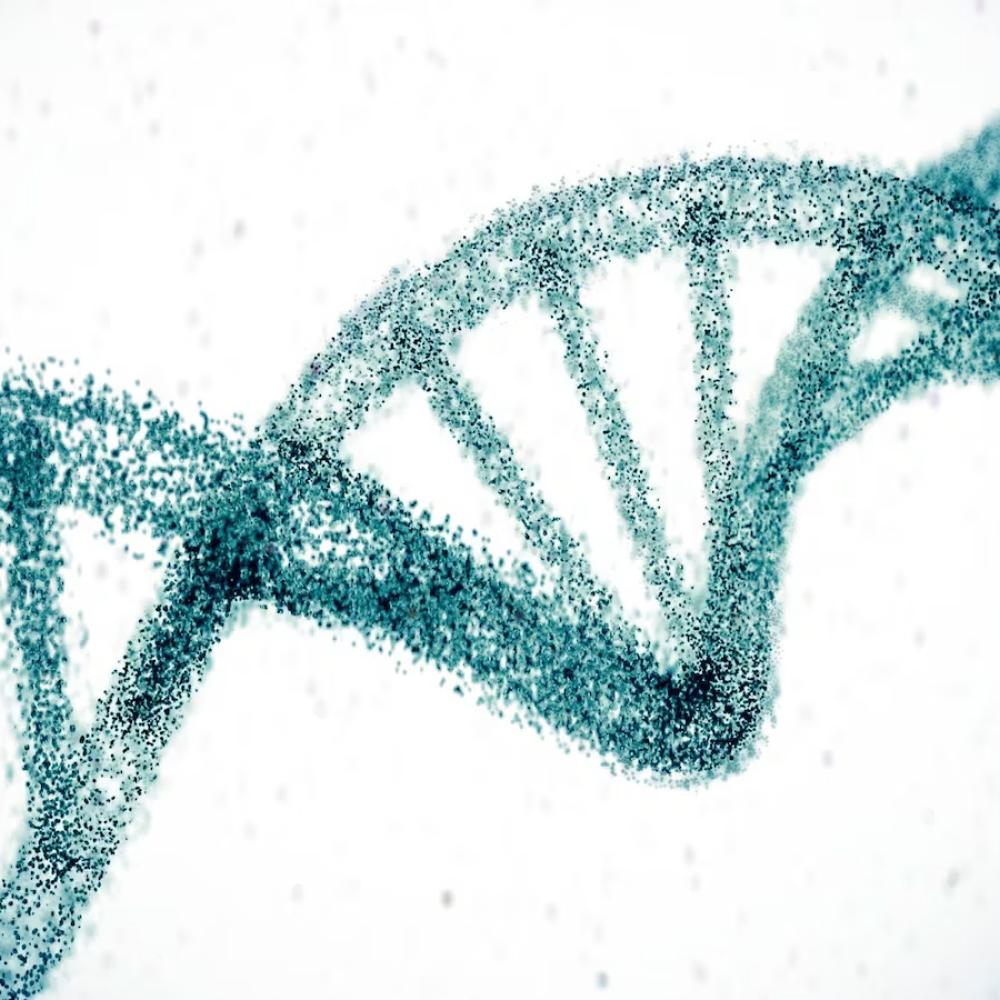 With the snip of a gene, scientists hope to erase high cholesterol for life