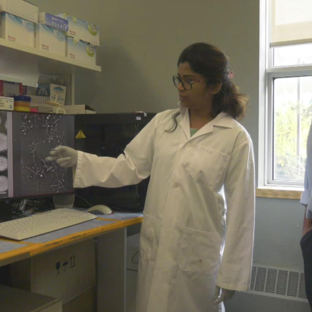 ‘I’ve never been so excited’: New nanoparticle study at U of A offers hope for new Alzheimer’s treatment