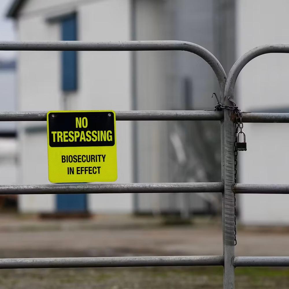 How does a bird virus infect a person? Surprising findings from B.C.’s human case of H5N1 avian flu