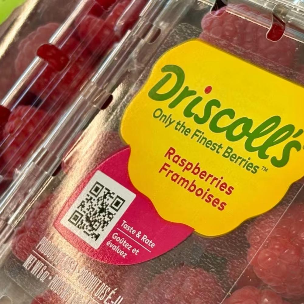 Are the raspberries in my fridge OK to eat? What to know about chemical levels on Driscoll's berries