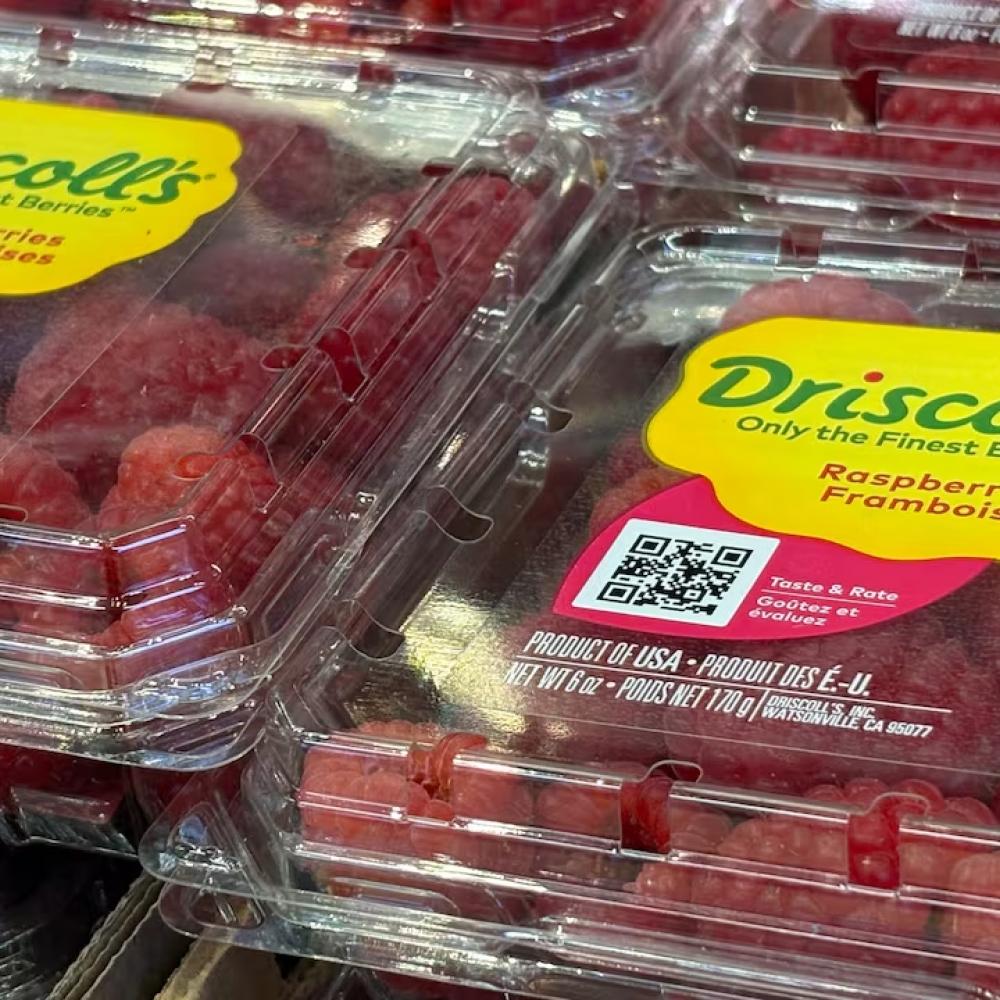 Fruit giant Driscoll's faces class-action lawsuit in Quebec