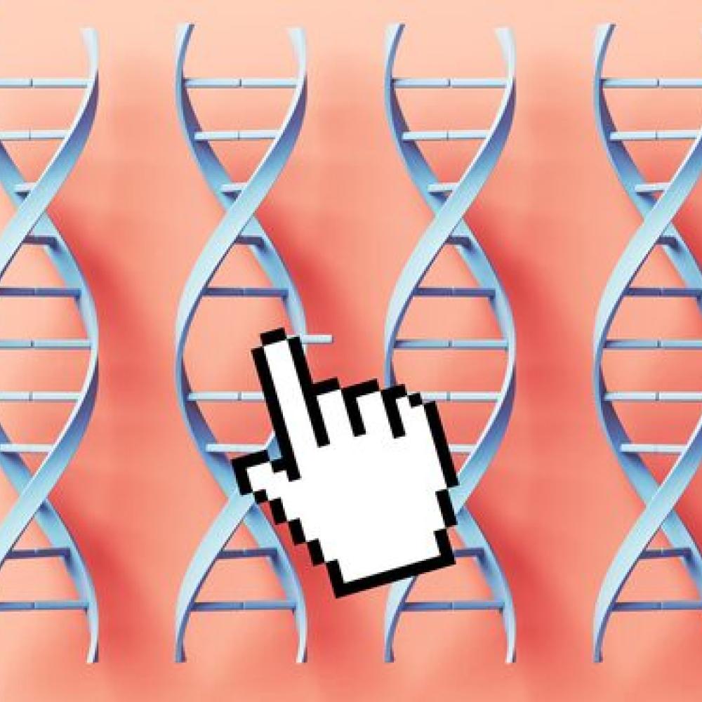 2025 was a year of breakthroughs in health and medicine. Here are five