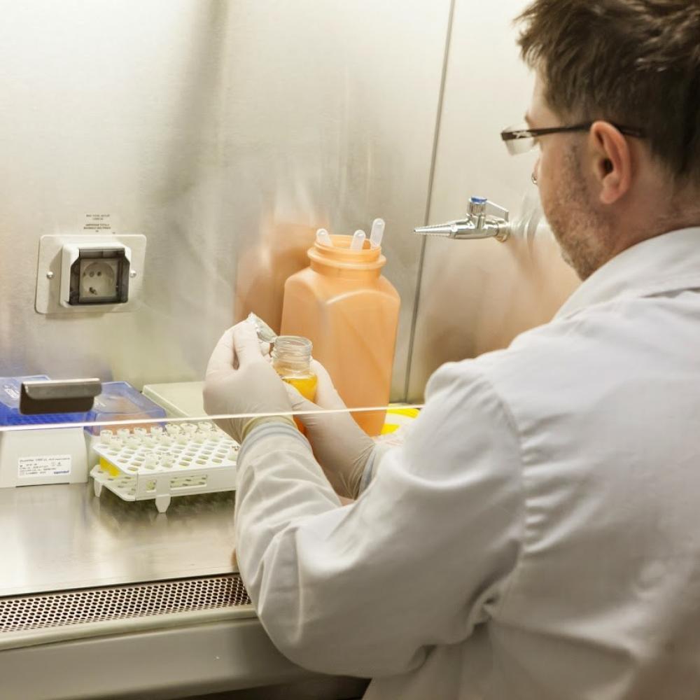 AI helps pathologists spot prostate cancer faster: What Canada can learn from landmark UK study