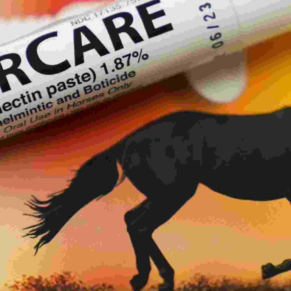 Ivermectin isn’t a cancer miracle drug, but influencers claim otherwise – here’s how to avoid sprinting past scientific evidence