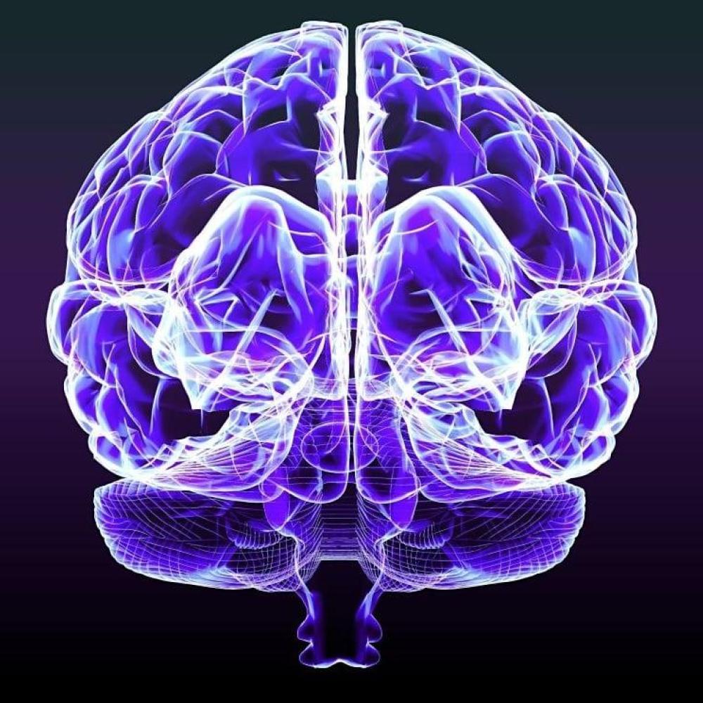 A Glimpse of Hope That Alzheimer's Can Be Reversed