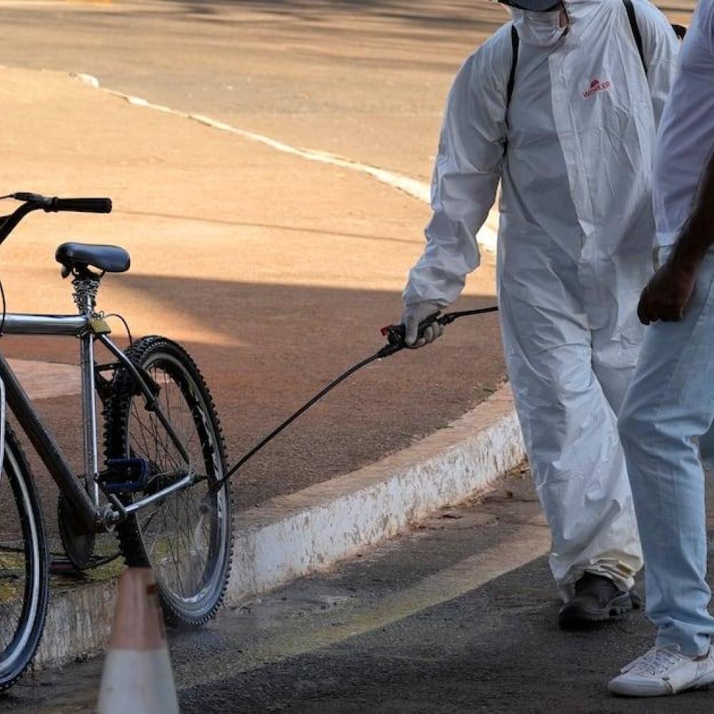 Bird flu poses risk of pandemic worse than COVID, France’s Institut Pasteur says