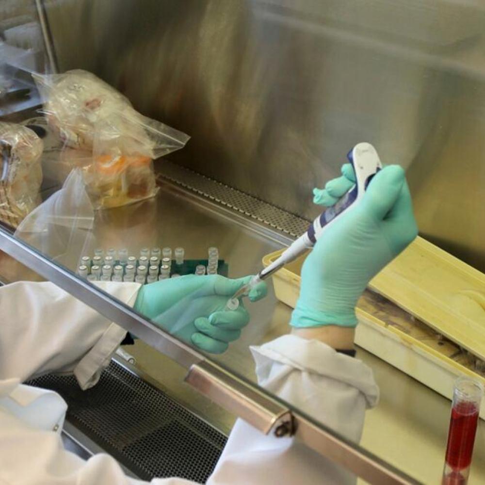 Build it and they will come? The hurdles facing Canada's planned pandemic-busting lab