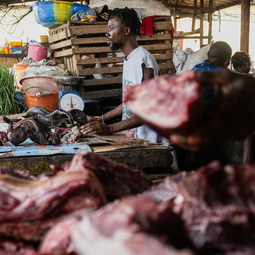 Congo Ebola outbreak highlights risk of hunting, eating wild animals