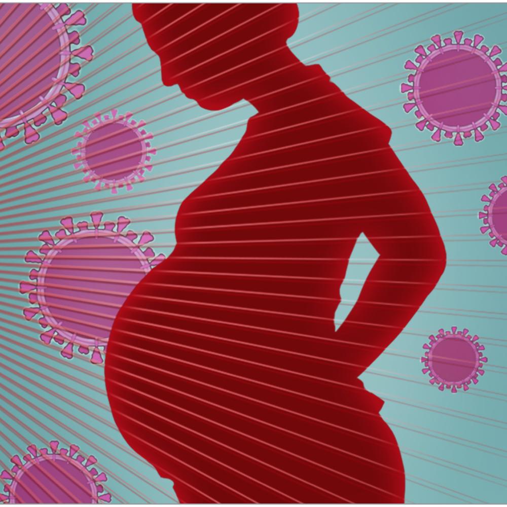 COVID-19 in Pregnancy Linked With Risk of Neurodevelopmental Disorders in Early Childhood