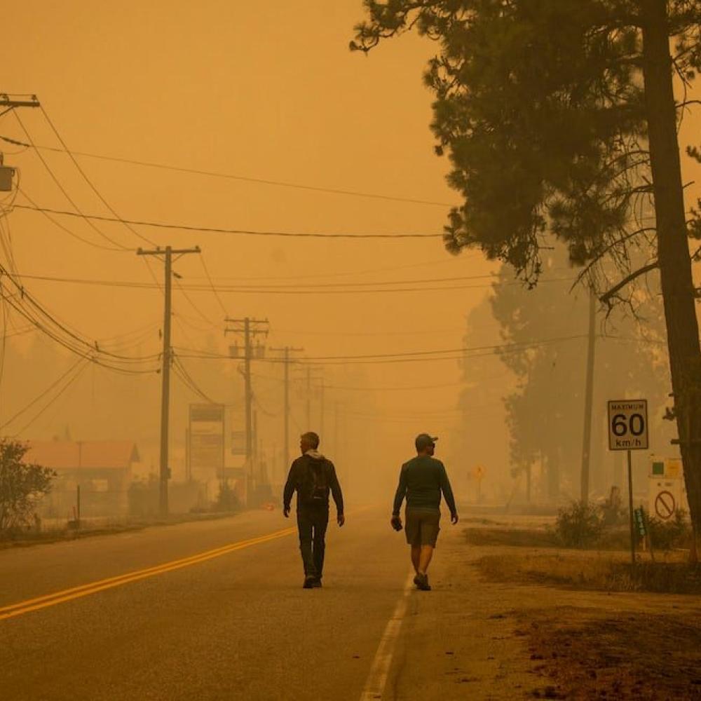 Gaps in rural B.C. air monitoring raise public health concerns as wildfire smoke risks grow