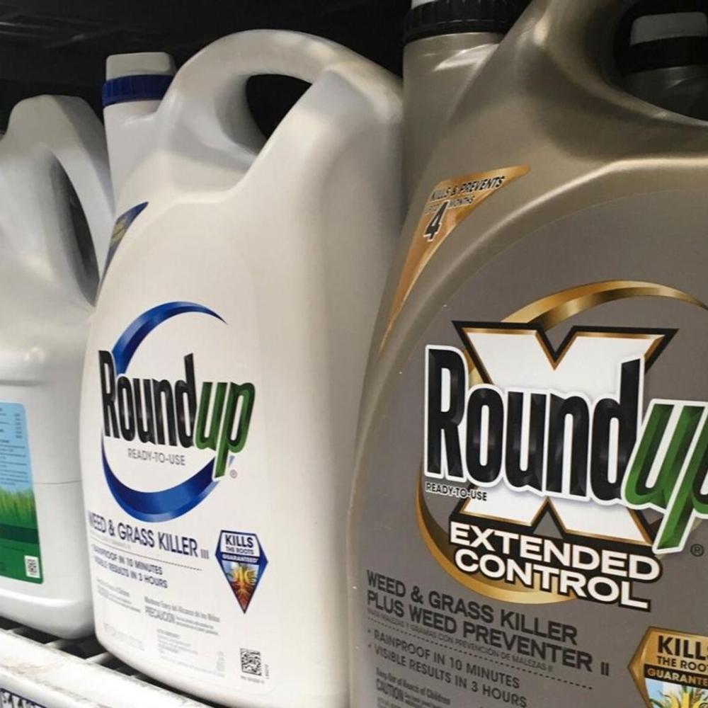 Health Canada said this controversial pesticide is safe. Behind the scenes, the agency has ramped up its monitoring