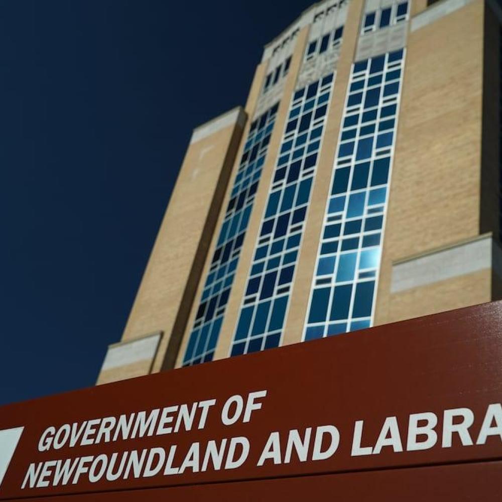 N.L. asks Deloitte to carry out review after 'incorrect' citations found in $1.6M provincial health plan