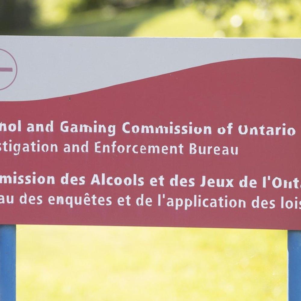 Study finds sharp rise in young men contacting Ontario gambling helpline