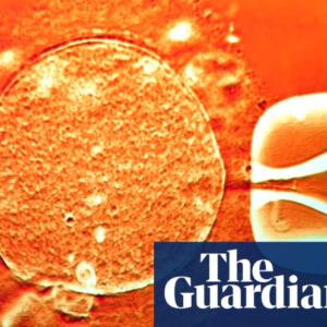 Sperm from cancer-risk donor used to conceive at least 67 children across Europe