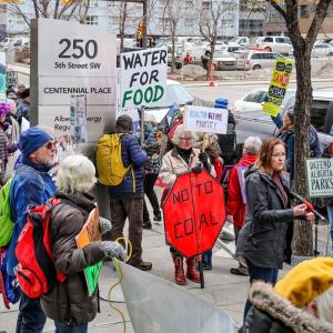 Will Alberta government heed its own findings on fish poisoned by coal mining?