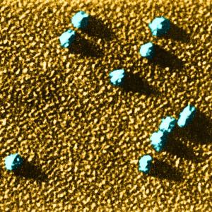 Shining a Light on the World of Tiny Proteins