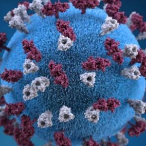 Alberta's measles outbreaks are now the worst in nearly half a century