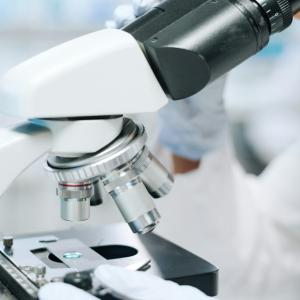 New study adds to evidence that glyphosate weed killer can cause cancer