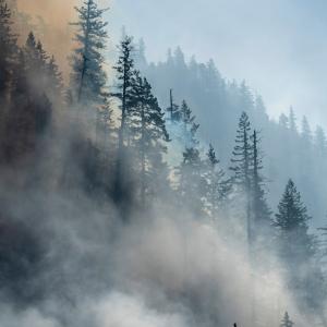 Rescuing summer holidays from the clutches of climate change