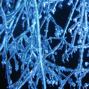 Research on a brain receptor may help stop neuropathic pain