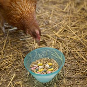 Antibiotics used in food-animal production linked to resistance in people
