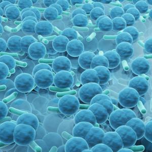 FDA fast-tracks antibody treatment targeting bacterial biofilms