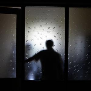 Nurses launch campaign against violence in the workplace