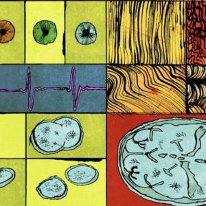 Genetically Engineered Babies Are Banned. Tech Titans Are Trying to Make One Anyway.