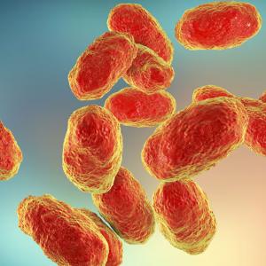 Hospitals warned about rare infection emerging in Calgary