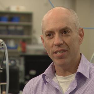 Could a simple diet change prevent a heart attack? A Mount Allison professor is using fish to find out