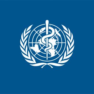Statement – WHO/Europe: Ebola risk remains low ahead of the Football World Cup