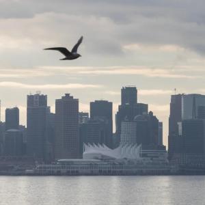 Margareta Dovgal: Vancouver fatality a tragic reminder of B.C.'s health system failures