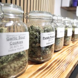 Cannabis commercialisation not decriminalisation drives up usage, study finds