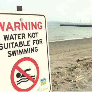 No swimming at several Vancouver beaches due to E.coli