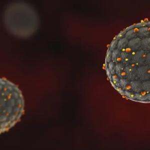 Hantavirus self-isolation complete for 34 Canadians, Health Canada says