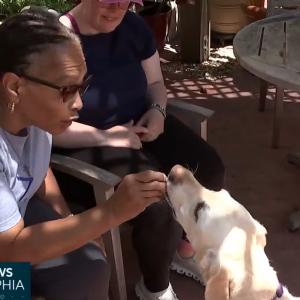 How dogs are helping aphasia patients improve their ability to speak: ‘This is the best thing ever’