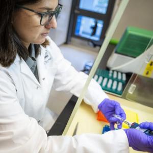 Ticks are a growing threat. So why did federal funding for a Lyme research group end?