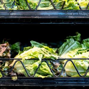 'Watery diarrhea' cases surge in Quebec, as Michigan identifies lettuce as possible source of outbreak
