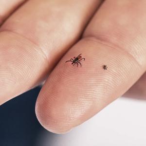 Lyme disease is becoming one of Canada's defining climate-health challenges