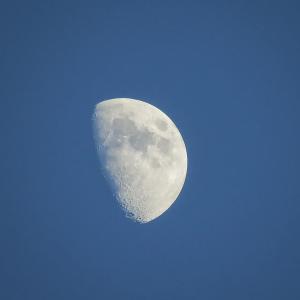 It's faster to fly a human around the moon than to get a new drug to Canadians