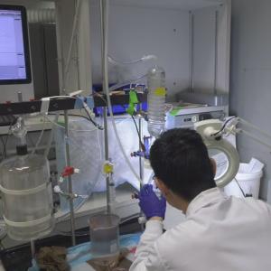 U of A researchers unlocked the molecule that makes snails sleepy. They say it could be groundbreaking organ transplant medicine