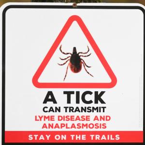 Know the risks: Cases of this tick-borne infection doubled last yearcb