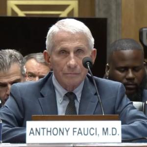Former top US Covid expert Fauci declines to answer hostile Senate questioning